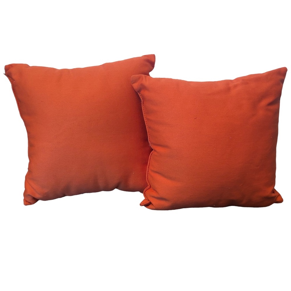 We’re Nuts For Fall Squirrel Decor Pillows - Picture 4 of 11